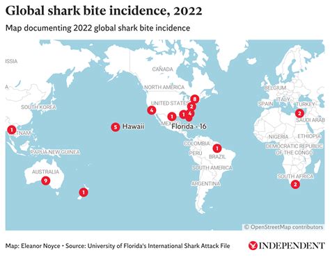 Use the app to view sightings or submit your own Receive push notifications for beach alerts based on confirmed shark sightings. . Shark sightings map 2022